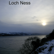 Aviary Photo_130658172870035143