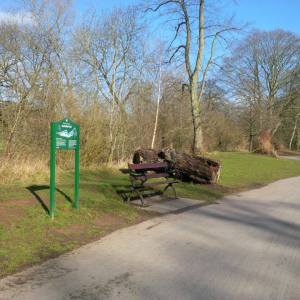 eastvilleparkbench